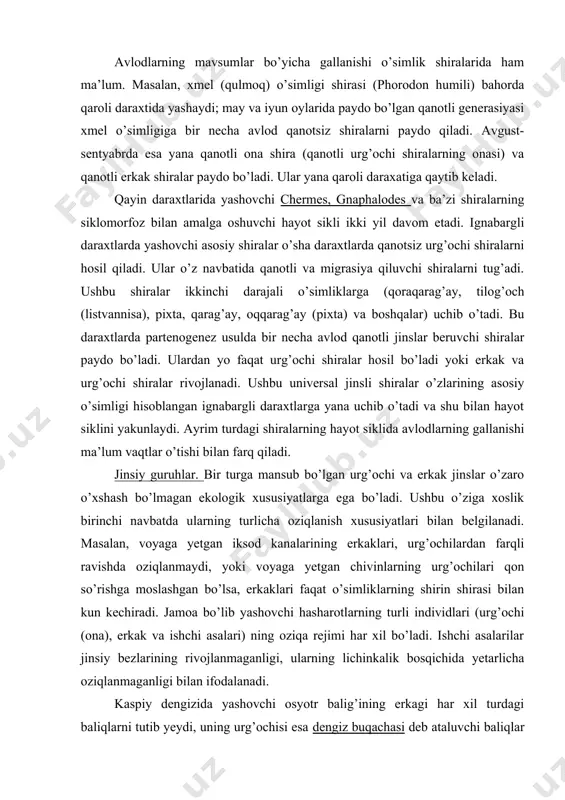 . ulardan yo faqat urg’ochi shiralar hosil bo’ladi yoki erkak va urg’ochi shiralar rivojlanadi. ushbu universal jinsli shiralar o’zlarining asosiy o’simligi hisoblangan ignabargli daraxtlarga yana uchib o’tadi va shu bilan hayot siklini yakunlaydi. ayrim turdagi shiralarning hayot siklida avlodlarning gallanishi ma’lum vaqtlar o’tishi bilan farq qiladi. jinsiy guruhlar. bir turga mansub bo’lgan urg’ochi va erkak jinslar o’zaro o’xshash bo’lmagan ekologik xususiyatlarga ega bo’ladi. ushbu o’ziga xoslik birinchi navbatda ularning turlicha oziqlanish xususiyatlari bilan belgilanadi. masalan, voyaga yetgan iksod kanalarining erkaklari, urg’ochilardan farqli ravishda oziqlanmaydi, yoki voyaga yetgan chivinlarning urg’ochilari qon so’rishga moslashgan bo’lsa, erkaklari faqat o’simliklarning shirin shirasi bilan kun kechiradi. jamoa bo’lib yashovchi hasharotlarning turli individlari (urg’ochi (ona), erkak va ishchi asalari) ning oziqa rejimi har xil bo’ladi. ishchi asalarilar jinsiy bezlarining rivojlanmaganligi, ularning lichinkalik bosqichida yetarlicha oziqlanmaganligi bilan ifodalanadi. kaspiy dengizida yashovchi osyotr balig’ining erkagi har xil turdagi baliqlarni tutib yeydi, uning urg’ochisi esa dengiz buqachasi deb ataluvchi …