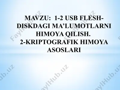 usb flesh disk — PPTX