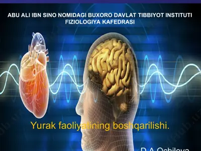 yurak faoliyatining boshqarilishi — PPT