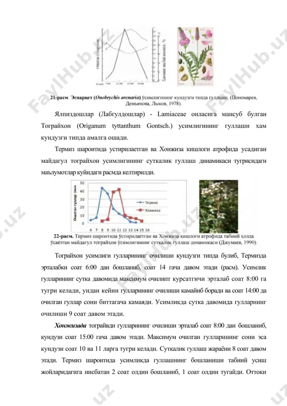 змалари (хонжиза кишлоги атрофида) усадиган мускат мавраги (salvia sclarea l.) усимлиги гулларининг асосий кисми (48%) тунги соат 2 дан 3 гача, хаво харорати 21ос, хавонинг нисбий намлиги 75% булган вактда очилади. лекин, уларнинг 1 ёки 2 тагача булган гуллари эрталабки соат 6 гача очилишда давом этади (расм). кузатишларимиз натижасида аникландики, эрталаб соат 5 гача булган вакт оралигида маврак гулларига тунги капалаклар, ёруг кун давомида эса - (соат 8 дан бошлаб) тукли ари, асалари ва пашшалар ташриф буторишади. тунги капалакларнинг гулларга ташрифи кечки пайтларда хам давом этади (джумаев, 1990). сутка давомида гуллаш ритми. тайганинг коронги нинабаргли урмонларида усувчи дуккакдошлар, сигиркуйрукдошлар, раънодошлар, тошёрардошлар оилалари вакилларида аникланган. бундай урмонларда хаво харорати ва намлиги дарахтлар тагида сутка давомида бир текис, доимий булади. уралнинг кутбий кенгликларида, яъни ззнинг туну-кун куёш ботмайдиган ойларида ёруглик етарли булганлиги сабабли, аксарият энтомофил усимликлар сутка давомида гуллайди (расм). лекин уларнинг жадал гуллаш даври куннинг иликрок даврига купрок тугри келади. олимларнинг …