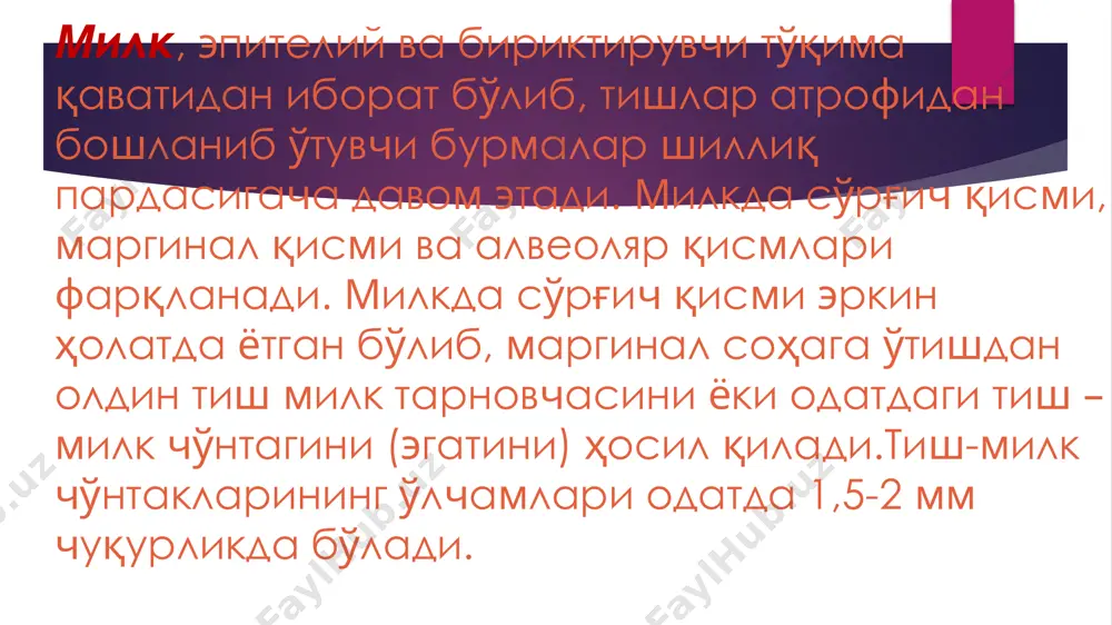 иллиқ қавати сингари жуда нозик ва тез шикастланадиган бўлади. шунинг учун ҳам гингивитларда, кўпчилик ҳолларда кревикуляр эпителийнинг шикастланиши рўй беради. шохланган қават билан ҳимояланмаган бу эпителий микроорганизмлар билан ва милк эгатчаси суюқлиги билан бевосита алоқадор (контактда) бўлади. микроблар таъсири остида унинг ўтказувчанлиги ошади пародонт бойламининг шаклланиши. болалар ёшида пародонтал бойламининг ўзига хос хусусияти унда турғун структура ва шаклнинг йўқлигидир. ҳар бир тиш атрофидаги периодонтал бойламнинг ривожланиши тишнинг фолликуляр тараққиёти пайтидан бошланади. тишнинг алвеола суягини ёриб чиқиш пайтида, тиш халтаси қўшувчи тўқимасининг толали структураси милк коллаген толалари билан қўшилиб толалар мажмуини ҳосил қилади. бу толалар мажмуи тиш оғиз бўшлиғига ёриб чиққунича пайдо бўлиб, функционал оккулюзиягача давом этади т. ф. виноградова периодонт тўқимаси тарққиётини 7 даврга бўлади: сут тишлари даврида: жағ суяги ичидаги тараққиёт; тишларнинг ёриб чиқиши; сут тишлари периодонти ва илдизининг ўсиши ва шаклланиши; тишлар алмашинуви даврида: сут тишлари илдизининг сўрилиши; жағ суяги ичида доимий тишларнинг шаклланиши; доимий тишларнинг чиқиши; доимий …