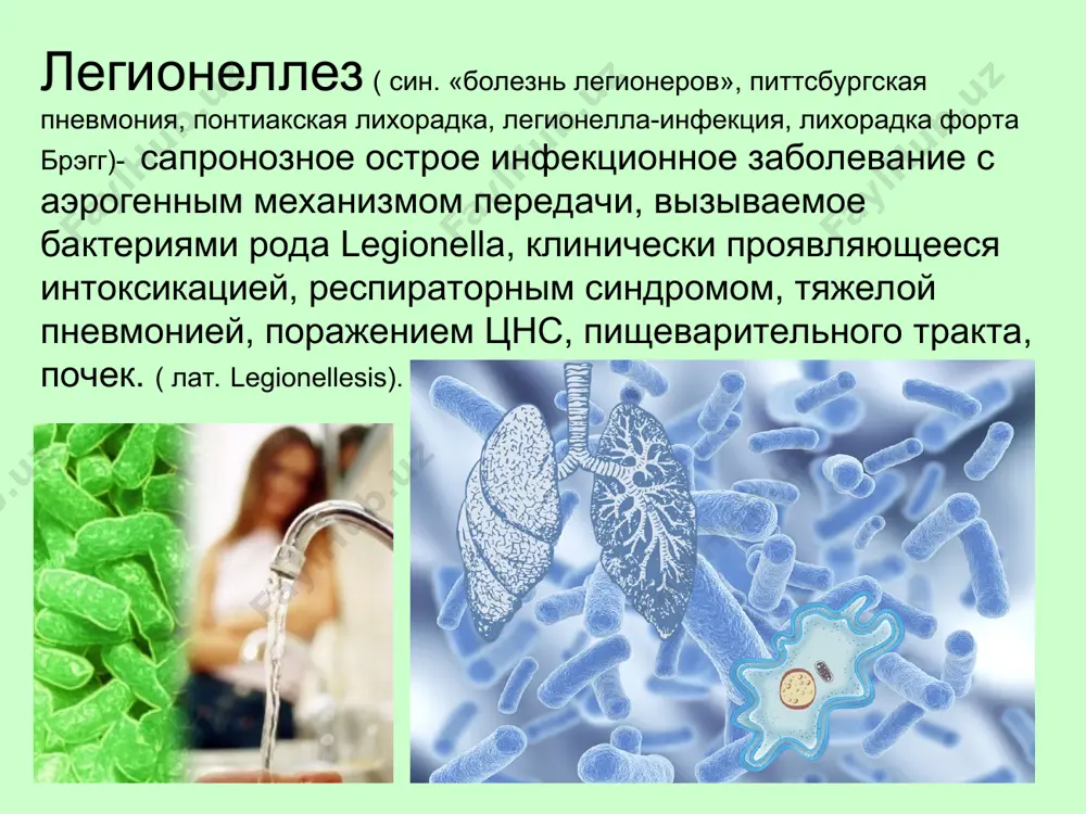 nachitelno ustoychivi. v vode iz krana pri temperature +4 ˚s oni vijivayut v techenie goda, v distillirovannoy vode- 120 dney, pri -70 ˚s – neskolko let a pri +32…+40 ˚s mogut daje razmnojatsya. dezinfitsiruyushie rastvori bistro inaktiviruyut vozbuditelya: 70% rastvor spirta, 5% rastvor yoda, 1% rastvor formalina, 5% rastvor fenola i t.d. legionella pneumophila na elektroskanogramme epidemiologiya legionellyoz — eto sapronoznaya infektsiya, glavnim mestom obitaniya legionell yavlyayutsya abioticheskie ob'ekti okrujayushey sredi. rezervuar vozbuditelya — eto voda i pochva, v prirode legionelli obnarujivayutsya v presnix vodoyomax kak simbionti sine-zelyonix vodorosley ili paraziti nekotorix organizmov. mexanizm peredachi aerogenniy. osnovnimi faktorami peredachi yavlyayutsya vozdux, voda ( v vide vodnogo aerozolya) i pochva ( pil). vospriimchivo k infektsii naselenie vsex vozrastnix grupp. vozrast bolnix, u kotorix zabolevanie protekaet s porajeniem legkix 50-60 let, a zobolevshix lixoradkoy pontiak- 18- 39 let. bolezn legionerov v 2-4 raza chashe registriruetsya u mujchin. virajennaya sezonnost: vspishki v letnee …
