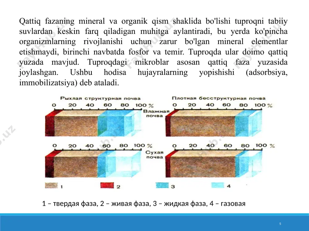 arlar qalinligi: i - plyonka va kapillyarlar juda yupqa, hujayralar yuzaga bosilgan; 2 - plyonkalar va kapillyarlar hujayralardan ancha kattaroq; erkin va yopishqoq hujayralarni ham topish mumkin; 3 - plyonkalar va kapillyarlar hujayralarga nisbatan ko'p marta qalin, hujayra larning erkin harakatlanishi mumkin ўзбекистон миллий университети, 2020 19 tizimda (tuproqda) suvning faolligi bir qator moddalar, shu jumladan eruvchan tuzlarning mavjudligiga bog'liq. tuzli eritmalarda suvning faolligi (namlik potentsiali) keskin pasayadi. shu munosabat bilan ta'kidlash kerakki, kserofiliya va osmofiliya tushunchalari mohiyatan bir xil ma'noga ega. tuzli eritmalarda mikroblar xuddi qurg'oqchilik sharoitida rivojlanadi, chunki hujayra uchun suv olish qiyin bo'ladi. tuzli eritmalarda mikroorganizmlarning rivojlanishiga ikki omil ta'sir qiladi: 1) suvning kam faolligi, 2) hujayra uchun ma'lum kationlar va anionlarning yuqori kontsentratsiyasining toksikligi. shuning uchun tuz eritmalarida mikroorganizmlarning rivojlanishi, hattoki bir xil suv faolligi bilan ham tuzning tabiatiga bog'liq bo'ladi. ўзбекистон миллий университети, 2020 20 tuproqning gaz fazasi tuproqda deyarli har doim suv va gazlar …