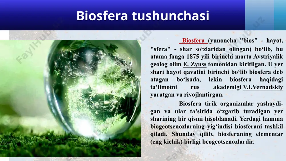litosferada neft bor bo‘lgan anoerob bakteriyalar yashaydigan qismlarigacha tarqalgan (2-rasm). biosferaning o‘lik tarkibiga atmosferaning, gidrosferaning va litosferaning moddalar va energiya almashinuvi jarayonida qatnashuvchi qismlari kiradi. 1-rasm. biosfera chegaralari 2-rasm. biosferada tirik organizmlarning tarqalishi biosferada tirik organizmlarning funksiyalari biosferada tirik organizm eng muhim ahamiyatga ega bo‘lib, akademik v.i.vernadskiy ularning qo‘yidagi funksiyalarini belgilab berdi: gaz almashinishi funksiyalari bu funksiyasi fotosintez va nafas olish jarayonlariga bog‘liq. avtotrof organizmlarning organik moddalarini sintezlash jarayonida qadimgi atmosfera tarkibidagi karbonat angidrid ko‘p miqdorda sarflanadi. yashil o‘simliklar tobora ko‘payib borishi bilan atmosferaning gaz tarkibi ham o‘zgara boradi. karbonat angidrid miqdori kamayib, kislorod esa orta boradi. atmosfera tarkibidagi kislorodning hammasi tirik organizmlar faoliyati natijasida hosil bo‘ladi. nafas olish jarayonida kislorod sarflanib, karbonat angidrid hosil bo‘ladi va u yana atmosferaga chiqariladi. konsentratsiyalash funksiyasi tirik organizmlar tomonidan atrof muhitga tarqalgan kimyoviy elementlarning to‘planishidir. masalan: o‘simliklar fotosintez jarayonida kimyoviy elementlar-ni tuproqdan (kaliy, fosfor, azot, vodorod va boshqalarni) havodan uglerod olib, hujayrada organik …