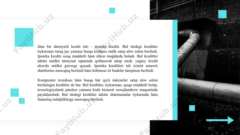 bank kreditleriniń turleri hám formalari - Page 4