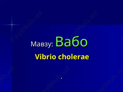 vabо — PPT