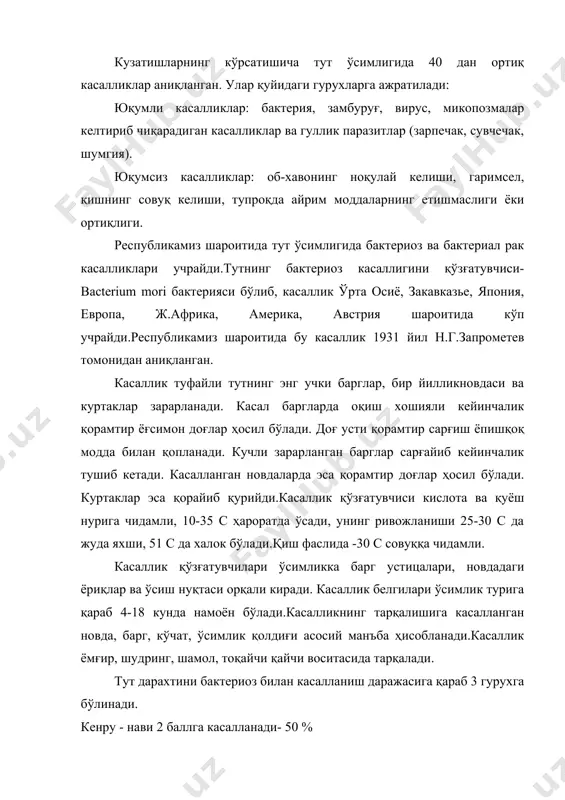 сарғиш ёпишқоқ модда билан қопланади. кучли зарарланган барглар сарғайиб кейинчалик тушиб кетади. касалланган новдаларда эса қорамтир доғлар ҳосил бўлади. куртаклар эса қорайиб қурийди.касаллик қўзғатувчиси кислота ва қуёш нурига чидамли, 10-35 с ҳароратда ўсади, унинг ривожланиши 25-30 с да жуда яхши, 51 c да халок бўлади.қиш фаслида -30 с совуққа чидамли. касаллик қўзғатувчилари ўсимликка барг устицалари, новдадаги ёриқлар ва ўсиш нуқтаси орқали киради. касаллик белгилари ўсимлик турига қараб 4-18 кунда намоён бўлади.касалликнинг тарқалишига касалланган новда, барг, кўчат, ўсимлик қолдиғи асосий манъба ҳисобланади.касаллик ёмғир, шудринг, шамол, тоқайчи қайчи воситасида тарқалади. тут дарахтини бактериоз билан касалланиш даражасига қараб 3 гурухга бўлинади. кенру - нави 2 баллга касалланади- 50 % кокосу -70, кокосу - 13, сиозисо, фусамаро, кокросо навлари - 1 баллга касалланади- 1-34 % хасак, ўзбекистон, восток, санииш навлари кам касалланади. касалликка қарши кураш чоралари: касалликнинг олдини олиш: касалланган кўчат, нихол ва қаламчалардан пайвандлашда фойдаланмаслик;1 га ерга 6060 дан ортиқ кўчат экмаслик; 1 …