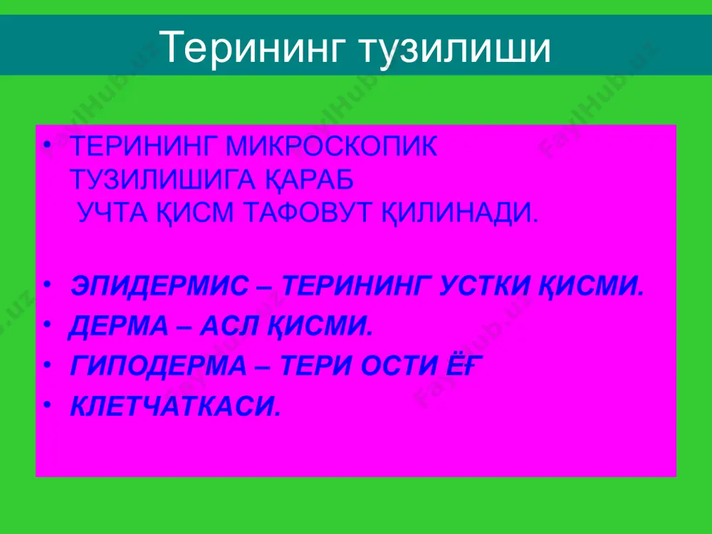 lib, ularni terining morfologik elementlari deb nomlanadi. morfologik elementlar teridagi patologik jarayonning tashqi ko'rinishidir. qancha vaqt mavjudligiga, teridagi patomorfologik o'zgarishlar dinamikasiga va xar xil sabablar (qashlash, ikkilamchi infektsiya va boshqalar) tufayli toshmalar evolyutsiyaga uchrab, dastlabki ko'rinishini o'zgartirishi mumkin. shuning uchun qanday toshmalar ushbu kasallikning tipik manzarasi uchun xosligi va qaysilari evolyutsiya oqibatida paydo bo'lganini farq qilish juda muxim. birlamchi va ikkilamchi morfologik elementlar tafovut qilinadi. birlamchi morfologik elementlar –o'zgarmagan terida birinchi bo'lib paydo bo'lgan toshmalardir. ularga dog'. tuguncha, do'mboqcha, tugun, (bular infiltrativ toifadagi birlamchi elementlardir) torvoq, pufak, pufakcha, yiringcha yoki madda (bular eksudativ toifadagi birlamchi elementlardir) kiradi. birlamchi elementlar bo'shliqli va bo'liqsiz deb ikki xil toifaga ajratiladi. bo'shliqsizlarga dog', tuguncha, tugun, do'mboqcha, torvoq kiradi, qolganlari bo'shliqlidirlar. ikkilamchi morfologik elementlar — bular birlamchi elementlarning evolyutsiyasi (o'zgarishi) oqibatida ulardan paydo bo'lgan toshmalardir. ikkilamchi elementlarga pigmentatsiya (giperpigmentatsiya, gipopigmentatsiya), tangacha, eroziya, tirnalish, yara, yoriq, qaloq, chandiq, lixenifikatsiya, vegetatsiya kiradi. bo'shliqli birlamchi elementlar bo'shliqli elementlar …