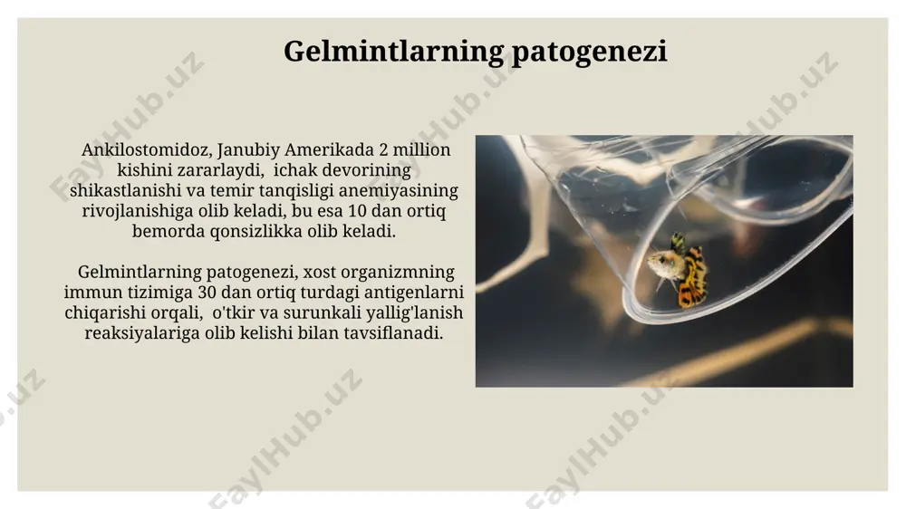 agan. aqshning milliy sog'liqni saqlash institutlari tomonidan moliyalashtirilayotgan loyihada, 20 dan ortiq mamlakatdan olingan 10000 dan ortiq namuna tahlili natijalariga ko'ra, helmintlarning iqlim o'zgarishiga moslashuvchanligi o'rganilmoqda. profilaktika choralari тошкент шаҳридаги 5000 нафар мактаб ўқувчилари орасида ўтказилган социологик сўровнома гельминтозлар профилактикаси бўйича билимлар даражасининг пастлигини (ўртача 2,5 балл) ва маълумотлар етишмовчилигини кўрсатди. самарқанд вилоятидаги 10 та мактабда ўтказилган текширувлар натижасида 30% дан ортиқ болаларда гельминт инвазияси аниқланди, бу профилактика дастурларининг самарадорлигини ошириш заруратини кўрсатади. davolash usullari ayrim helmint infektsiyalarida, masalan, shistosoma infestatsiyasida, 1000 dan ortiq odamni qamrab olgan keng ko'lamli davolash dasturlari, jumladan, surxondaryo viloyatida amalga oshirildi. bolalarda yuqumli kasalliklarni oldini olish maqsadida, qoraqalpog'iston respublikasida 5 yoshgacha bo'lgan bolalarga profilaktik dehelmintizatsiya 2 yilda bir marta, albendazol preparati bilan o'tkaziladi. gelmintlarning tarqalish geografiyasi gelmint infektsiyalari, ayniqsa, shimoliy afrika va janubiy amerikada, 70% dan ortiq aholini qamrab olgan holda, yuqori darajada tarqalgan. bu hududlarda sanitariya sharoitlarining yetarli emasligi va suvning ifloslanishi kabi omillar …