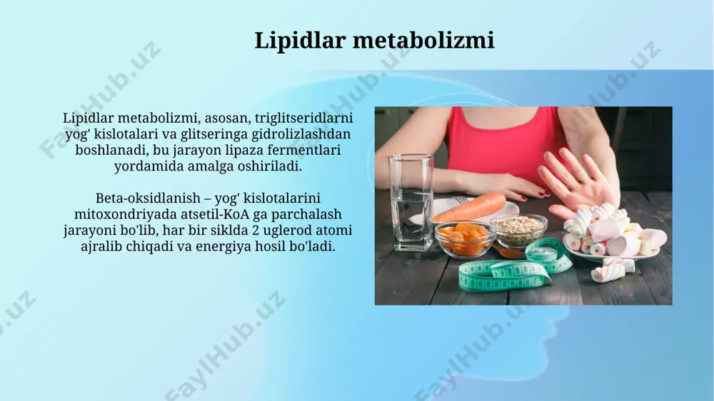 moddalar almashinuvi metabolizm - Page 3