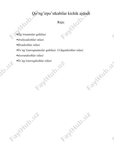 qo’ng’irpo’stkabilar kichik ajdodi — DOCX