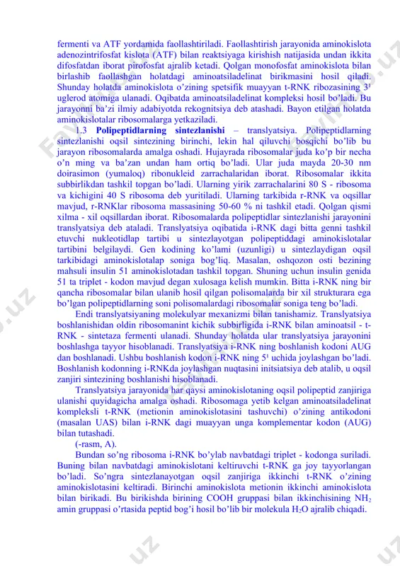 ing mahsuli insulin 51 aminokislotadan tashkil topgan. shuning uchun insulin genida 51 ta triplet - kodon mavjud degan xulosaga kelish mumkin. bitta i-rnk ning bir qancha ribosomalar bilan ulanib hosil qilgan polisomalarda bir xil strukturara ega boʼlgan polipeptidlarning soni polisomalardagi ribosomalar soniga teng boʼladi. endi translyatsiyaning molekulyar mexanizmi bilan tanishamiz. translyatsiya boshlanishidan oldin ribosomanint kichik subbirligida i-rnk bilan aminoatsil - t-rnk - sintetaza fermenti ulanadi. shunday holatda ular translyatsiya jarayonini boshlashga tayyor hisoblanadi. translyatsiya i-rnk ning boshlanish kodoni aug dan boshlanadi. ushbu boshlanish kodon i-rnk ning 5¹ uchida joylashgan boʼladi. boshlanish kodonning i-rnkda joylashgan nuqtasini initsiatsiya deb atalib, u oqsil zanjiri sintezining boshlanishi hisoblanadi. translyatsiya jarayonida har qaysi aminokislotaning oqsil polipeptid zanjiriga ulanishi quyidagicha amalga oshadi. ribosomaga yetib kelgan aminoatsiladelinat kompleksli t-rnk (metionin aminokislotasini tashuvchi) oʼzining antikodoni (masalan uas) bilan i-rnk dagi muayyan unga komplementar kodon (aug) bilan tutashadi. (-rasm, а). bundan soʼng ribosoma i-rnk boʼylab navbatdagi triplet - kodonga …