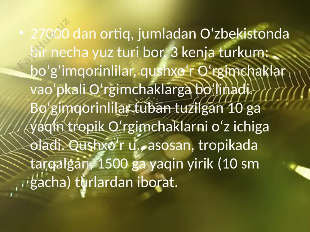 o'rgimchaklar haqida umumiy tushuncha - Page 5