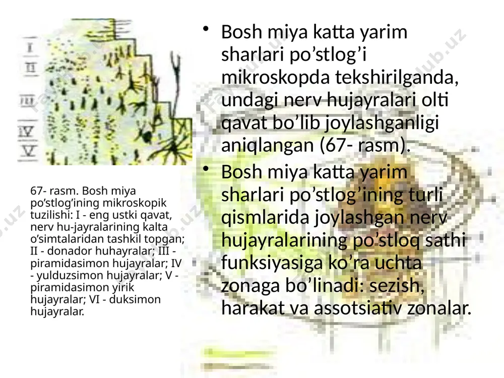 .png image4.png image5.png image6.png image7.png image8.png image9.png image10.png image11.png image12.png image13.png