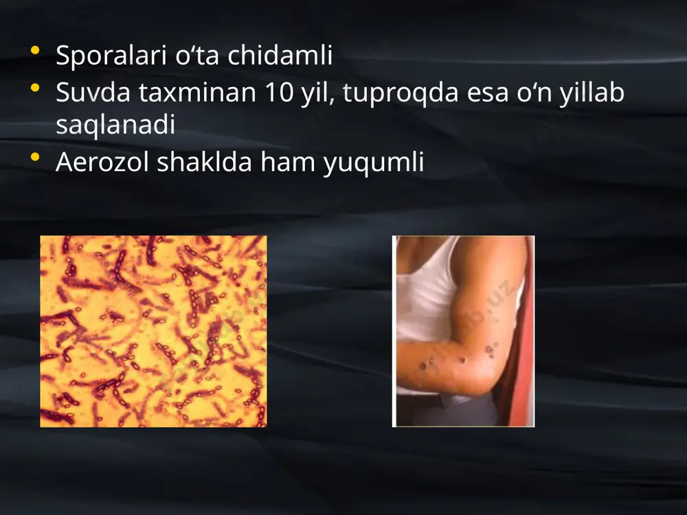 12.png image13.png image14.png image15.png image16.png image17.png image18.png image19.png image20.png image21.png image22.png image23.png image24.png image25.png image26.png image27.png image28.png image29.png image30.png image31.png image1.png /docprops/thumbnail.jpeg