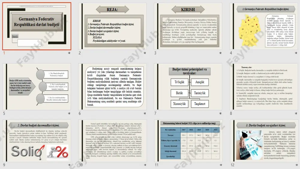 germaniya federativ respublikasi davlat budjeti - Page 3
