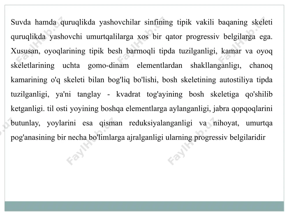 eral qismida ko'proq o'zgarishlar sodir bo'lgan. avvalo, bu o'zgarishlarni amfibiyalarning bosh skeleti ko'pchilik baliqlarning bosh skeletidan xondral va teri suyaklarining yaxshi rivojlanmaganligidan, autostiliya qisman eshitish va qisman til osti apparatiga aylangan, o'zgargan til osti va jabra yoylarining bo'lishidan, jabra qopqog'ining reduksiyalanganligidan bilsa boʻladi. binobarin, ko'pchilik amfibiyalarda jabra apparatining yo'qo-lishi, birinchi eshitish suyakchalarining va til osti skeletining paydo bo'lishi visseral skeletda sodir bo'lib, bu hayvonlarning yarim quruqlikda yashashi bilan bog'liqdir. baqaning bosh skeleti ikki bo'limga: miya qutisi va vistseral skeletga bo'linadi. ikkinchi bo'lim baqaning lichinkalari (itbaliqlar)da yaxshi taraqqiy etgan bo'lib, u baliqlarning vistseral skeletiga o'xshash. voyaga yetgan baqalarda esa vistseral skelet (jag yoylaridan tashqari) ancha soddalashgan va o'zgargan bo'ladi. umurtqa pog'onasi. baqaning umurtqa pog'onasi to'liq suyaklashgan to'qqizta umurtqadan tashkil topgan bo'lib, to'rt bo'lim: bo'yin, tana, dum-g'aza va dumga bo'linadi barcha amfibiyalardagi singari baqaning ham bo'yin bo'limida faqat bitta umurtqa bor. bu umurtqa ko'ndalang va oldingi qo'shiluv o'simtalarining bo'lishi bilan tana umurtqalaridan …