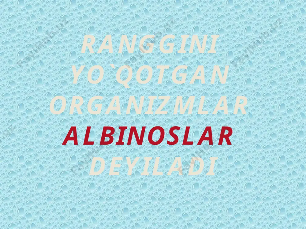 "al’binizm gen kasalligi" - Page 2