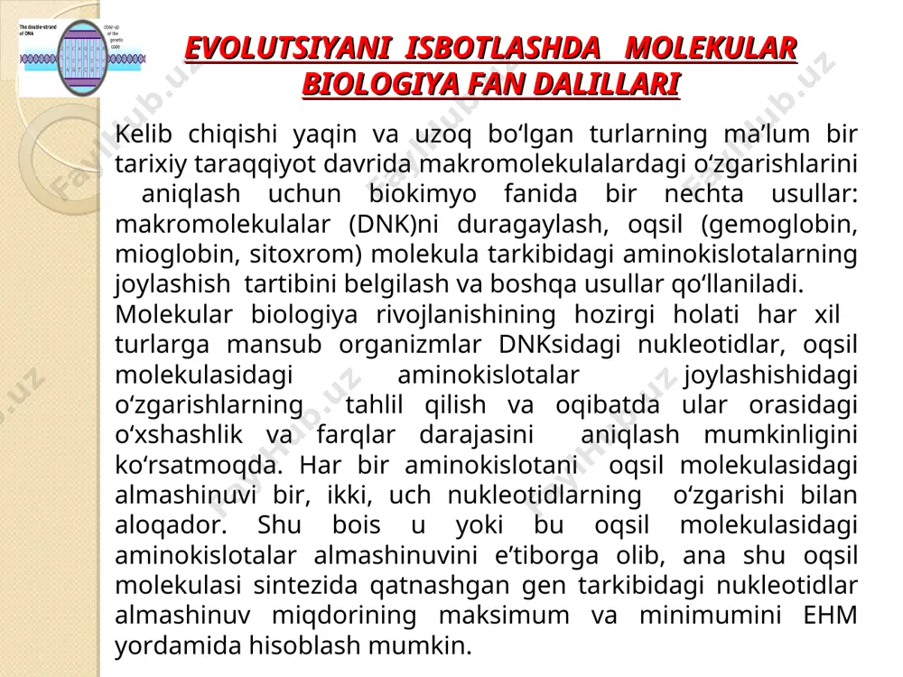 otadan 18 xilining genetik kodi ikkidan oltigacha ekanligi bundan dalolat beradi gen tarkibidagi har bir nukleotid mutatsiyaga uchrashi mumkin. uni nuqtali mutatsiya deyiladi. ba’zi nukleotidlarning ta’sirga bo‘lgan munosabati bir xil emas. ayrim nukleotid juftlarida bir, ikki mutatsiya ro‘y bergan holda, boshqa nukleotid juftlarida yuz martalab mutatsiya kuzatiladi. keyingilari «qaynoq» nuqtalar deb ataladi. mutatsiya tripletning qaysi nukleotidini o‘zgartirayotgani nihoyatda muhimdir. masalan, fenilalanin uuu kodoniga ega. agar kodondagi uchinchi uratsil adenin yoki guanin bilan almashinsa, u holda kodon mavqeyi o‘zgarib, uua uug kodonlari polipeptid bog‘ tarkibiga leytsinni kiritadi. bu esa oqsil tuzilishi va funksiyasining o‘zgarishiga olib keladi. odatda sistematik jihatdan bir-biriga yaqin turlarda mutatsiyalar soni kam, uzoq turlarda esa aksincha, ko‘p bo‘ladi. shu sababli, masalan, odam dnk molekula tuzilishi makaka maymuni dnk tuzilishiga 66% o‘xshash bo‘lsa, ho‘kiznikiga 28%, kalamushnikiga 17%, lasos balig‘inikiga 8%, ichak tayoqchasi bakteriyasiga atigi 2% o‘xshashligi aniqlangan. genlarning evolutsiya tezligi biologik progeress bir turga mansub individlar soni orta borsa; …