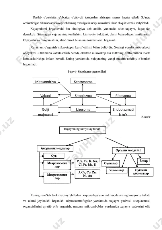 gach, o‘quvchilar "hujayra haqida umumiy tushuncha" mavzusi bo‘yicha asosiy tushuncha (element)larni ajratadilar, tushunchalarning o‘zaro mantiqiy bog‘liqligini aniqlaydilar, yuzaga kelgan g‘oyalar asosida mavzuga oid sxema ishlab chiqadilar. quyida namuna sifatida "sitoplazma organoidlari" nomli sxemani keltiramiz (1- va 2-tasvirlar). dastlab o‘quvchilar e’tiboriga o‘qituvchi tomonidan ishlangan sxema hayula etiladi. so‘ngra o‘zlashtirilgan bilimlar asosida o‘quvchilarning o‘zlariga shunday sxemalarni ishlab chiqish vazifasi toshpiriladi. xujayralarni hrganuvchi fan sitologiya deb atalib, yunoncha sitos-xujayra, logos-fan demakdir. sitologiya xujayraning tuzilishini, kimyoviy tarkibini, ularni bajaradigan vazifalarini, khpayishi va rivojlanishini, atrof muxit bilan munosabatlarini hrganadi. xujayrani o‘rganish mikroskopni kashf etilishi bilan bolio‘dir. xozirgi yorulik mikroskopi oboyektni 3000 marta kattalashtirib beradi, elektron mikroskop esa 100ming, xatto million marta kattalashtirishga imkon beradi. uning yordamida xujayraning yangi muxim tarkibiy o‘ismlari hrganiladi. 1-tasvir sitoplazma organoidlari 2-tasvir hujayraning kimyoviy tarkibi xozirgi vao‘tda biokimyoviy yhl bilan xujayradagi mavjud moddalarning kimyoviy tarkibi va ularni joylanishi hrganish, ulptratsentrafugalar yordamida xujayra yadrosi, sitoplazmasi, organoidlarini ajratib olib hrganish, maxsus mikroasboblar yordamida …