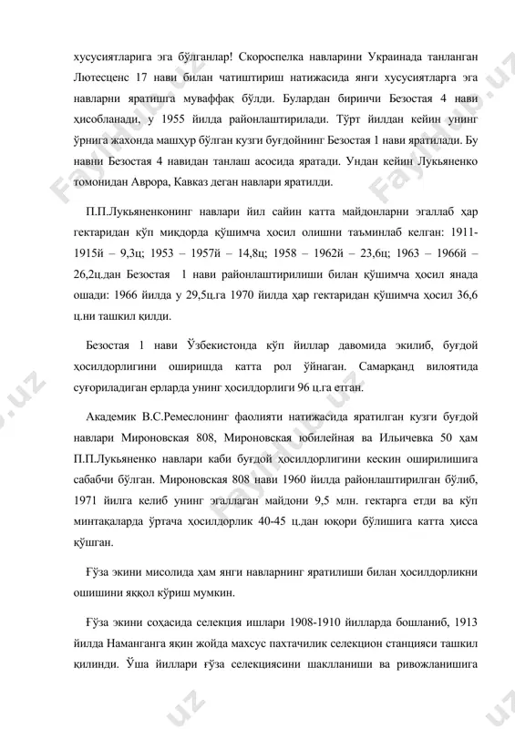 қилинди. ўша йиллари ғўза селекциясини шаклланиши ва ривожланишига катта ҳисса қўшган олимлар, академик р.р.шредер (туркистон тажриба станцияси). я.л.навроцкий (андижон тажриба станцияси), г.с.зайцев, м.м.бушуев (мирзачўл тажриба станцияси). бу олимлар 1915 йилга келиб ғўзанинг биринчи навларини яратдилар: навроцкий, триумф навроцкого, 182-ак-джура, 169- дехканин ва 508ботир. 1922 йилда тошкентдан 12 км узоқликда туркистон селекцион станцияси (ҳозирги ғўза селекцияси ва уруғчилиги илмий-текшириш институти) ташкил қилинади. шундан кейин ғўза ва завод аралашмалари навлари ўрнига юқори ҳосилли селекцион навлар экила бошланади. биринчи нав алмаштириш 1922-1929 йилларда ўтказилиб юқори ҳосилли йирик кўсакли навроцкий нави тарқатилиб 1 млн. гектаргача экилган, иккинчи нав алмаштириш 1937 йилда ўтказилиб, янги юқори ҳосилли навлар 8517- колхозник (селекционер с.с.канаш), 8196 ва 2034 (селекционер д.д.нагибин), 36м2 (селекционер п.в.могильников) ва 1306 (р.р.шредер материалларидан) яратилган. бу навларнинг ўрнига янада яхши, юқори ҳосилли навлар (1944 йил учинчи нав алмаштириш ўтказилиши режалаштирилган эди) экила бошланди. булардан энг кўп тарқалган ва ўша даврда 560 минг гектарга экилган юқори ҳосилли, …