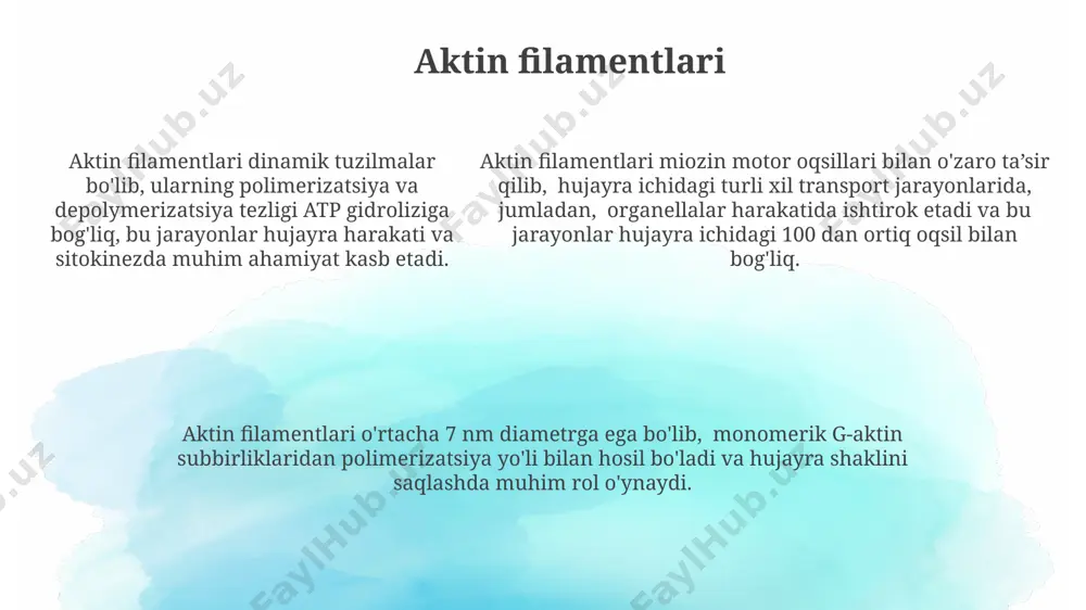 ikning pasayishiga olib keladi, bu esa saraton terapiyasi samarasizligini keltirib chiqarishi mumkin. oraliq filamentlarning tuzilishi va funksiyasi vimentin, desmin va keratin kabi turli xil oralik filament oqsillarining ifodalanishi hujayra turiga bog'liq va ularning funksiyasini aniqlaydi. oralik filamentlar hujayra yadrosini qo'llab-quvvatlaydi va hujayra ichidagi organellalarni joylashtirishda ishtirok etadi, shuningdek, signal transduksiyasida ham rol o'ynaydi. oralik filamentlar hujayra yadrosini qo'llab-quvvatlaydi va hujayra ichidagi organellalarni joylashtirishda ishtirok etadi, shuningdek, signal transduksiyasida ham rol o'ynaydi. motor oqsillari: dineinlar va kinezuslar dineinlar mikrotubulalar boʻylab minus tomonga, kinezinlar esa plyus tomonga harakatlanib, 1-10 nm/sek tezlikda harakatlanadi va hujayra ichidagi transportda muhim rol oʻynaydi. dineinlar, siliya va flagella harakatlanishida muhim rol oʻynab, ularning 9+2 mikrotubula tuzilmasi boʻylab harakatini ta'minlaydi va atp gidrolizidan energiya oladi. kinezinlarning 45 dan ortiq turi mavjud boʻlib, ular turli xil yuklarni tashishda va hujayra boʻlinishi jarayonlarida ishtirok etadi, masalan, mitoz va meozda xromosomalarni ajratishda. sitoqsimonning umumiy tavsifi mikrotubulalar 25 nm diametrli bo'lib, hujayra …