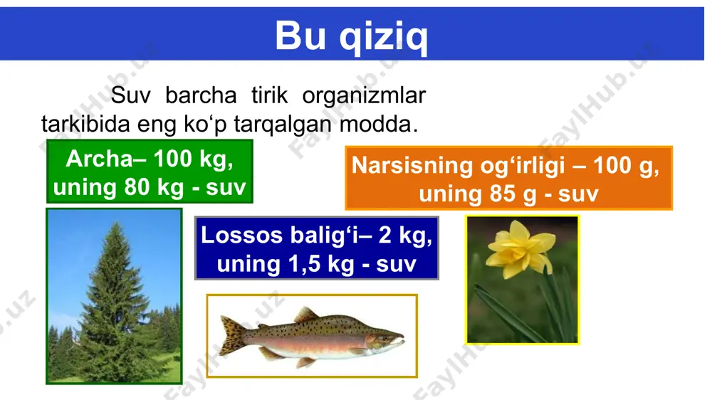 ichiga oladi. suv ikkinchi bosqichida suvni tindirish qurilmasida yig‘iladi. bu bosqichda suvning tozalanishi qay tarzda boradi? a. suvdagi bakteriyalar o‘ladi b. suvga kislorod qo‘shiladi c. shag‘al va qumlar qurilma tubiga cho‘kadi d. zaharli moddalar eriydi ichimlik suvi suvni tozalash jarayonining 4- bosqichida suv xlorlanadi. nima uchun suvga xlor qo‘shiladi? quyidagi topshiriqlarga javob yozing. 1. dunyo okeanidagi va qutb muzliklaridagi suvning bir-biridan qanday farqi bor? 2. chuchuk suv deganda qanday suvni tushunasiz? 3. suvning inson hayotidagi tutgan o‘rni haqida ma’lumotlar to‘plab, rasmli buklet tayyorlang. mustaqil bajarish uchun topshiriqlar: