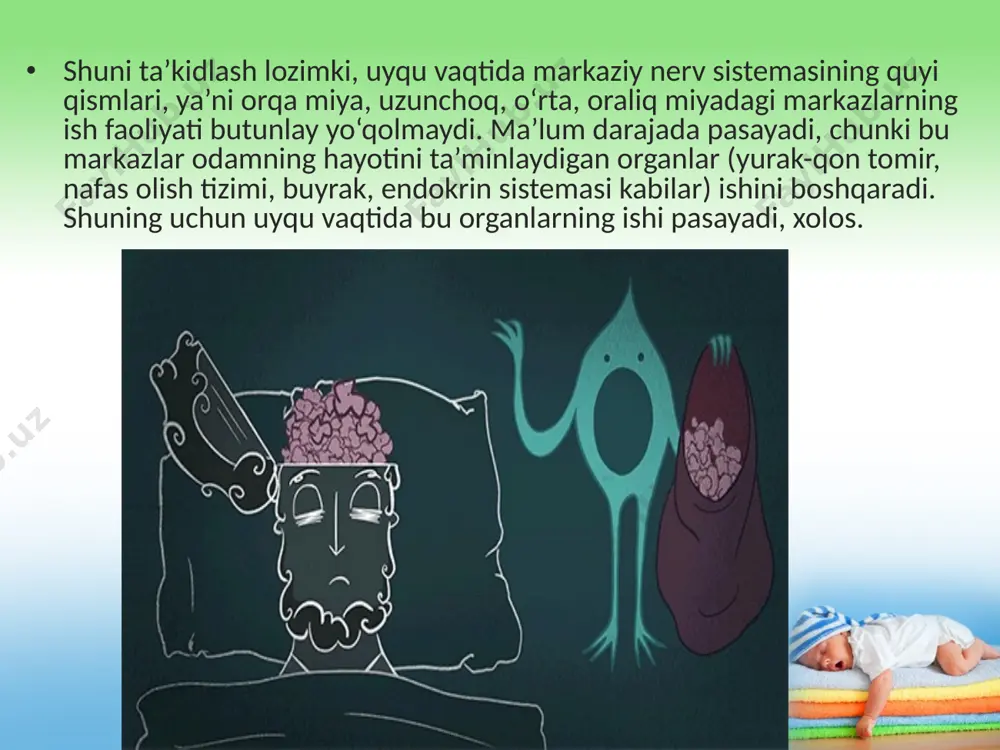 uyqu va uning ahamiyati. 8 - sinf - Page 4