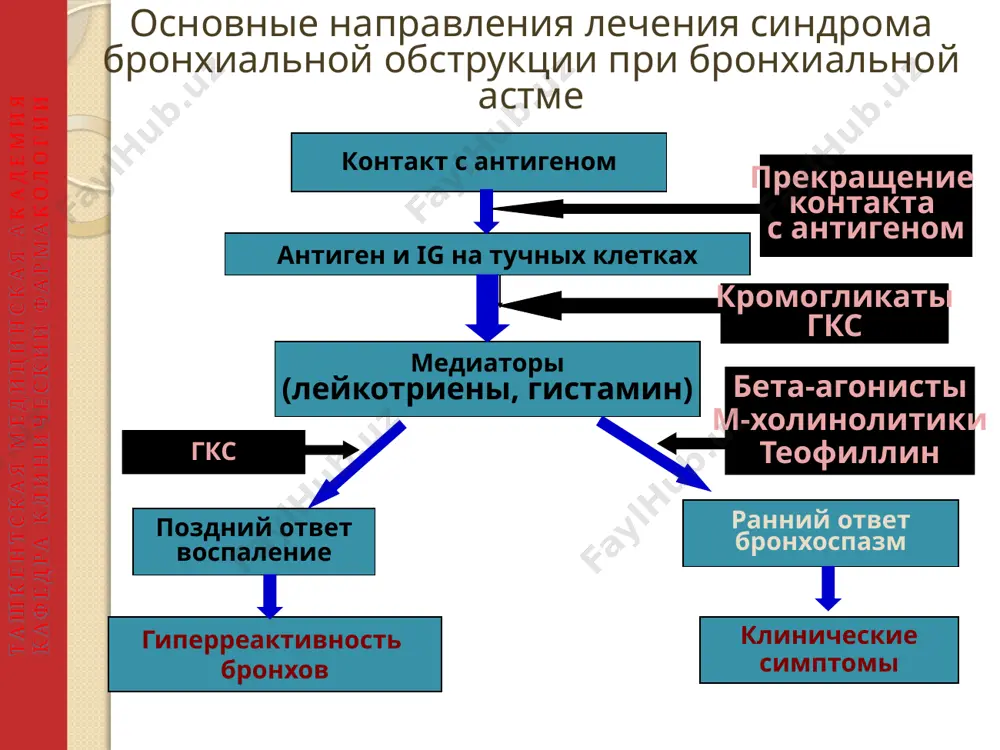 ет уровни воздержания от табакокурения на длительном этапе. все пациенты с хобл получают пользу от регулярной физической активности и их следует неоднократно поощрять оставаться активными. ташкентская медицинская академия кафедра клинический фармакологии 21 соответствующая медикаментозная терапия способна уменьшить выраженность симптомов хобл, снизить частоту и тяжесть обострений, а также улучшить состояние здоровья пациента и переносимость нагрузки. ни один из существующих препаратов для лечения хобл убедительно не продемонстрировал способности модифицировать долгосрочное снижение легочной функции. вакцинация против гриппа и пневмококковой инфекции может быть предложена пациенту в зависимости от местных рекомендаций. глобальная стратегия диагностики, лечения и профилактики хобл методы лечения: ключевые моменты ташкентская медицинская академия кафедра клинический фармакологии 22 глобальная стратегия диагностики, лечения и профилактики хобл лечение стабильной хобл: цели лечения облегчение симптомов улучшение переносимости нагрузки улучшение состояния здоровья предотвращение прогрессирования заболевания предотвращение и лечение обострений уменьшение смертности улучшение симптомов уменьшение риска ташкентская медицинская академия кафедра клинический фармакологии 23 глобальная стратегия диагностики, лечения и профилактики …
