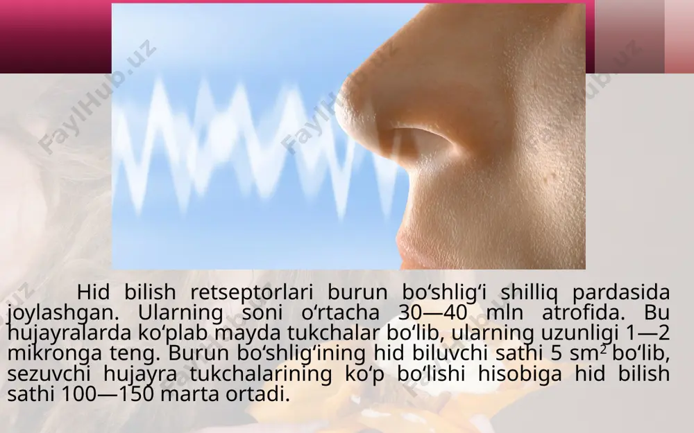 va nordonni, orqa qismidagi retseptorlar achchiqni sezadi. oshpazlarda ta’m bilish analizatori yaxshi rivojlangan bo‘ladi. ichki a’zolarning sezuvchanlik xususiyati (ichki analizator). ichki a’zolarda, ya’ni o‘pka, yurak, oshqozon, ichak, jigar, taloq, buyrak, siydik pufagi hamda qon tomirlari devorida retseptorlar joylashgan bo‘lib, ular visseroretseptorlar deb ataladi. bu retseptorlar mazkur a’zolarda sodir bo‘ladigan mexanik, kimyoviy, harorat va bosim o‘zgarishlari ta’sirida qo‘zg‘aladi. qo‘zg‘alish sezuvchi nerv tolalari (vegetativ nerv sistemasi) orqali orqa va bosh miyadagi nerv markazlariga boradi. markazlardagi nerv hujayralarida analiz va sintez qilinib, ta’sirning tabiati aniqlanadi. buning natijasida mazkur tomirlar kengayib yoki torayib, qon bosimining oshishi va pasayishi, ichki a’zolarning sezish va harakatlanish faoliyati amalga oshadi. shuni alohida qayd qilish kerakki, visseroretseptorlar boshqa sezgi a’zolari retseptorlaridan farq qilib, ularning hamma qo‘zg‘alishi odamga sezilavermaydi. balki bu retseptorlarning ba’zilarining qo‘zg‘alishini odam sezadi. masalan, och qolish, chanqash, siydik, najas ajratishga taalluqli retseptorlar qo‘zg‘alishini odam sezadi va shunga ko‘ra chora-tadbir ko‘radi. ammo ko‘pchilik visseroretseptorlarning qo‘zg‘alishini odam sezmaydi. masalan, …