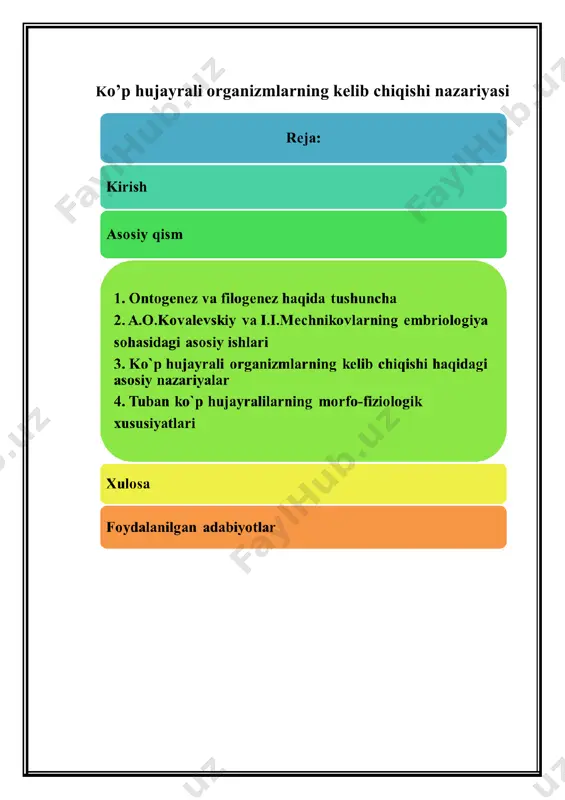hkil topgan. a) epitelial to`qima - himoya vazifasini bajaruvchi to`qima bo`lib, unga tashqi, terini qoplagan va ikkilamchi tana bo`shlig`i – selomni, shuningdek ichak va boshqa hazm organlarining ichki va tashqi devorini qoplagan to`qimalar kiradi. b) biriktiruvchi to`qimalar – bu to`qimalar ularning hujayralararo mahsulotlari turli xil hayvonlar tanasida nihoyatda ko`p tarqalgan bo`lib, juda murakkab va xilma-xil vazifalarni bajaradi. dastlab yassi chuvalchanglarda rivojlangan parenxima deb ataluvchi to`qimalar biriktiruvchi to`qimalardir. yuqori darajada tashkil topgan hayvonlardagi qon hosil qiluvchi organlar - taloq, jigar va hokazolar shu xil to`qimalardan tashkil topgan. v) muskul to`qimalari ba`zi kovakichlilar va barcha yassi chuvalchanglardan boshlab rivojlangan bo`lib, hayvonlarda eng muhim harakat vazifasini bajaradi, ular qisqarish va cho`zilish xususiyatiga ega (muskul to`qimalari faqat nerv tolalari ta`sirida qisqaradi, harakatlanadi). ushbu to`qima asosan mezodermadan, ba`zi organlarda esa entodermadan rivojlanadi. g) nerv to`qimasining rivojlanishi kovakichlilardan boshlanadi va yuqori darajada rivojlangan ko`p hujayralilarda takomillashib boradi. tuban kovakichlilarda (gidralarda) u yulduzsimon nerv hujayralardan tashkil topgan …