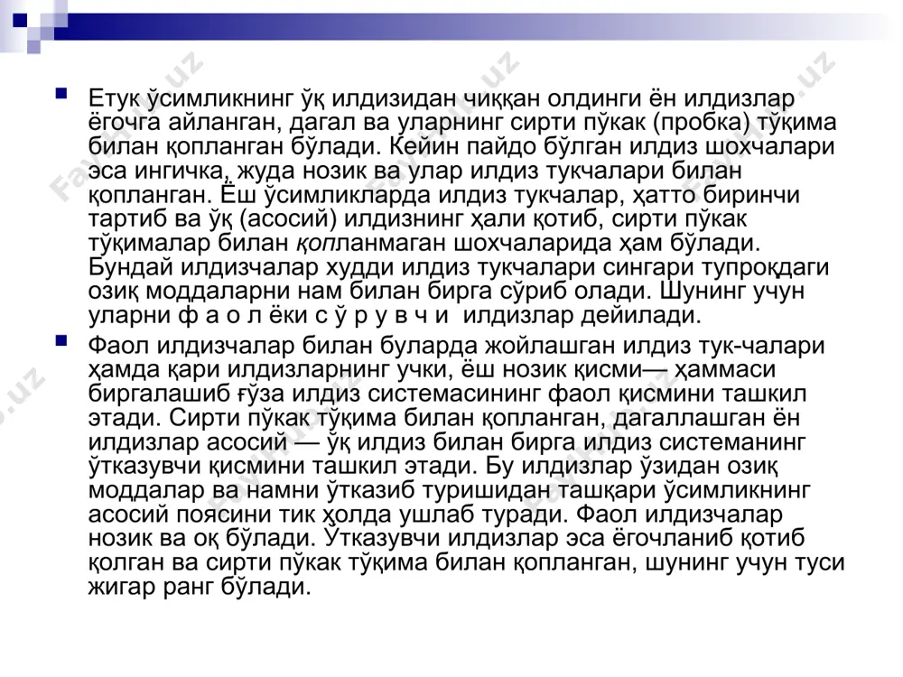 кейин ҳам тегишли агро-техникавий тадбирларни амалга ошириб, ўсимликнинг биологик хусусиятига қараб ҳаётининг дастлабки пайтларида илдиз системасининг жадал ўсиши учун қулай шароит яратиш керак. 15 кунлик ғўза ниҳолларининг асосий илдизи асосий поядан 3—4 марта узун бўлади. ён илдизларнинг (бу вақтда ғўза илдизи фаол илдиз ҳисобланади) умумий узунлиги эса ҳали ён шох чиқармаган асосий поядан 20— 30, ҳатто 40 марта узун бўлади.илдиз системасининг жадал ўсишига ўсимликнинг тур ва нав хусусиятидан ташқари ташқи шароит, айниқса температура ва намлик катта таъсир кўрсатади. масалан, айрим кузатишларга қараганда, асосий илдиз 30° температурада дастлабки суткаларда соатига 1,03—1,33мм, 17° температурада эса_0,30—0,38 мм ўсади. илдиз системасида ернинг намроқ жойига кўпроқ таралиш (гидротропизм) хусусияти мавжудлигидан тупроқ; устки қисми қурий бошлаши, яъни баҳордан ёзга ўтиши билан илдизнинг майда шохлаган қисми чуқурроқ — сернам қатламга ўтиб, бу ерда ўз фаолиятини кучайтиради. ернинг ҳайдалма қатламига жойлашган биринчи тартиб ён илдизлар шу қатлам қуришига қадар етарли даражада ривожланиб ва бақувватлашиб улгурмаганидан ўсишдаи орқада қолади, …