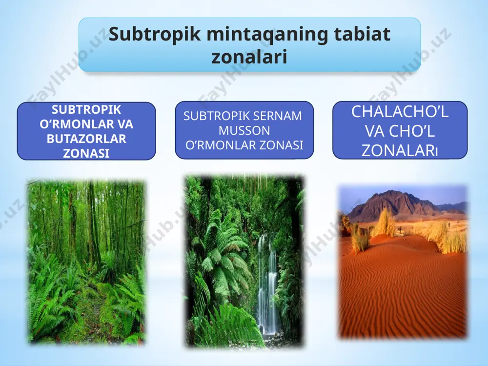 subtropik mintaqaning tabiat zonalari - Page 2