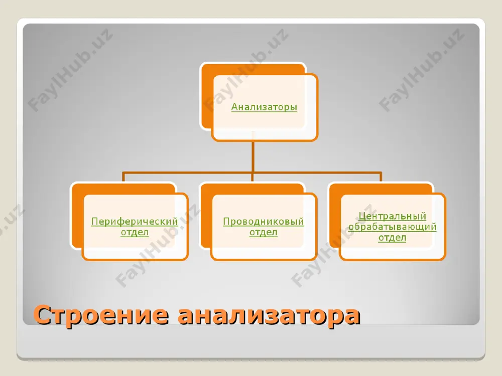 ми, смазанными, нерезкими, поэтому острота зрения ниже 1,0. дальнозоркость дальнозоркость (гиперметропия) - это нарушение зрения, при котором изображение предмета формируется не на сетчатке, а за ней. нарушения зрения. одной из важных характеристик зрения является острота зрения. острота зрения определяет предельную способность глаза различать мелкие детали в поле зрения. острота зрения зависит от общей освещенности, контраста деталей изображения на определенном фоне и других причин. наиболее часто встречающиеся нарушения зрения - это близорукость и дальнозоркость. наличие этих нарушений устанавливает врач при измерении остроты зрения с помощью специальных таблиц. гигиена органа зрения. сохранению зрения способствуют следующие факторы: 1) хорошее освещение рабочего места, 2) расположение источника света слева, 3) расстояние от глаза до рассматриваемого предмета должно быть около 30—35 см. чтение лежа или в транспорте приводит к ухудшению зрения, так как из-за постоянно меняющегося расстояния между книгой и хрусталиком происходит ослабление эластичности хрусталика и ресничной мышцы. глаза следует беречь от попадания в них пыли …