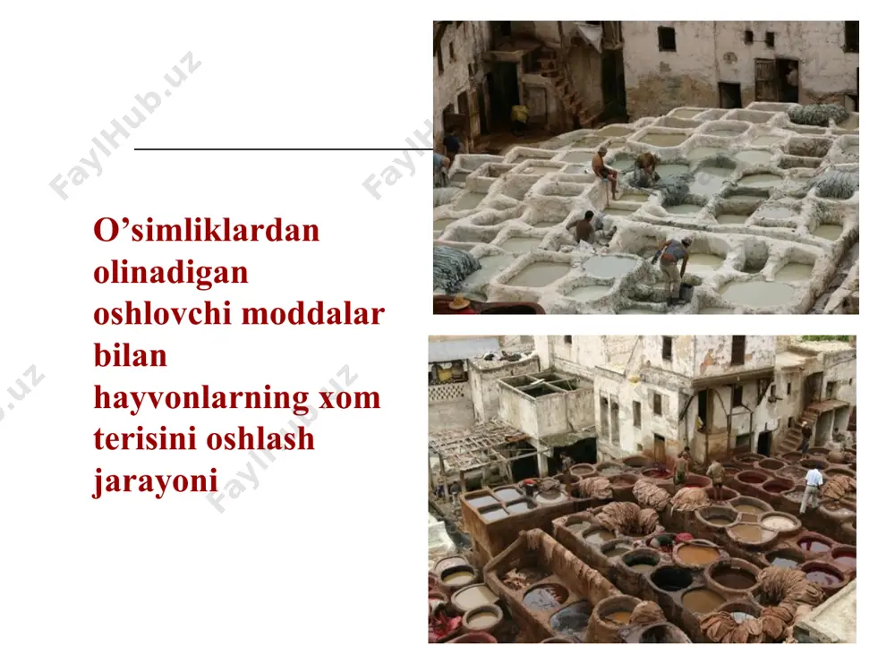 maga jelatinani 1% eritmasi tomchilab qo’shilganda cho’kma hosil bo’ladi (ortiqcha tomchi cho’kmani eritib yuboradi); ajratma alkaloid tuzlari, og’ir metall tuzlari, shilliq moddalar bilan amorf cho’kma hosil qiladi. 2-3ml ajratmaga brom suvi tomizilsa kondensatsiyalanuvchi tanidlar cho’kma beradi. tahlil usullari rangli reaktsiyalar: temirning iii valentli tuzlari bilan gidrolizlanuvchi oshlovchi moddalar qora-ko’k, kondensatsiyalanuvchi oshlovchi moddalar qora-yashil cho’kma hosil qiladi. 2-3 ml ajratmaga natriy nitrat tuzidan bir necha kristall va 0,1m xlorid kislotadan 5 tomchi qo’shiladi. gidrolizlanuvchi tanidlar jigarrang hosil qiladi. stiasni reaksiasi (tasnif reaktsiyasi) 50 ml ajratmaga 10ml konts. (1:1) xlorid kislota va formalinning 40% eritmasidan 15 ml qo’shiladi. so’ngra kolbani havo sovitgichi bilan birlashtirib qizdiriladi. bunda kondensatsiyalanuvchi oshlovchi moddalar qo’ng’ir cho’kma hosil qiladi. cho’kma filtrlanadi. filtratda gidrolizlanuvchi oshlovchi moddalar borligi aniqlanadi. buning uchun 5 ml filtrat olib, ustiga 1g natriy atsetat kristalli asta-sekin solinadi va aralashmani chayqatmay, temir–ammoniyli achchiqtoshning 15% eritmasidan 10 tomchi qo’shiladi. natijada natriy atsetati kristali atrofidagi neytral zonada ko’k …