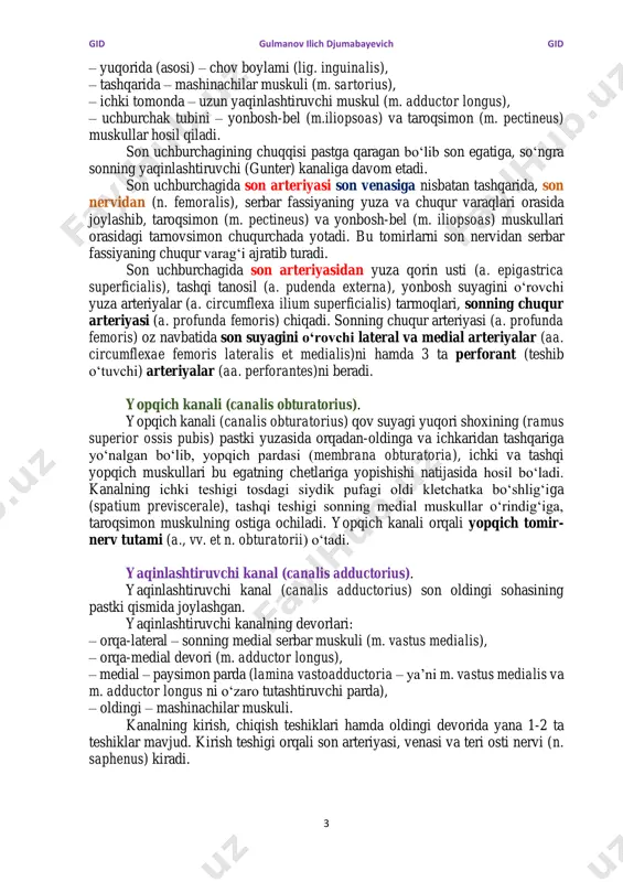 zasida son nervi (n. femoralis) va chov boylami tagida, oldingi-ustki yonbosh o‘tkir o‘sig‘iga (spina iliaca anterior superior) yaqin joyda sonning lateral teri nervi (n. cutaneus femoris lateralis) o‘tadi. tomir lakunasi (lacuna vasorum) orqali son arteriyasi va son venasi o‘tadi, bunda son arteriyasi son venasining tashqari tomonida yotadi. son venasining ichkari tomoni bilan qov suyagi orasida g‘ovak kletchatka bilan to‘lgan kichkina joy bor, u erda chuqur chov (rozenmyuller) limfa tuguni joylashadi. bu zaif joydan son churrasi (hernia femoralis) chiqishi kuzatiladi (asosan ayollarda, sababi ularda tos chanog‘i erkaklarnikiga nisbatan yoyiqroq bo‘lib, ko‘ndalang o‘lchamlari nisbatan keng, vertikal o‘lchamlari kichikroq bo‘ladi), natijada son kanali (canalis femoralis) paydo bo‘ladi. son kanalining orqa devori – serbar fassiyaning chuqur varag‘i; oldingi devori – serbar fassiyaning yuza varag‘i; tashqi devori – son venasi (v. femoralis) hisoblanadi. kanalning chuqur halqasi yoki teshigi (anulus femoralis)ni chegaralaydi: oldindan – chov boylami (lig. inguinalis), orqadan – taroqsimon (kuper) boylami (lig. pectinealis (cooper), …