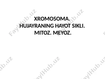 xromosoma.hujayraninghayotsikli.mitoz.meyoz. — PPTX
