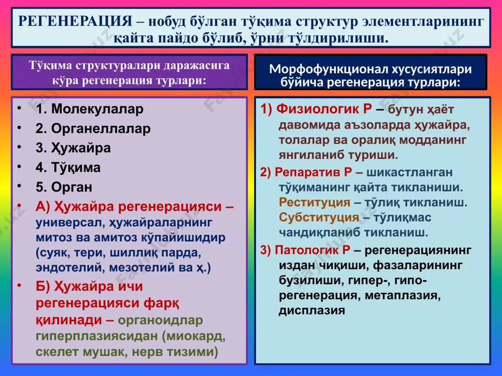 ан сийдик пуфаги деворининг компенсатор гипертрофияси эндокрин касалликлар оқибатида бурун ёғ безларининг гиперсекрецияси оқибатида буруннинг ўсиши ринофима гипертрофия ва гиперплазия патологик гипертрофия атрофия – хаёт давомида аъзо, тўқима, ҳужайралар хажмининг кичикланиши ва иш фаолиятининг сусайиши физиологик атрофия – одам туғилгандан қаригунча кузатилади. патологик атрофия – алиментар, эндокринопатия, нейропатия, интоксикация оқибатида умумий атрофия кузатилади. умумий атрофия – 1) алиментар атрофия – дастлаб ёғ тўқима йўқолиб, липохроматоз, меланоз, остеопороз, юрак, жигарнинг қўнғир атрофияси кузатилади; 2) ракдаги озиб кетиш – қизилўнгач, меъда, ичак ракида; 3) гипофизар кахексия – симондс касаллиги –гипофизга қон қуйилганда, некроз ва эмболия ривожланганда; 4) церебрал кахексия – гипоталамус касалликларида; 5) бошқа сурункали инфекциялар: сил, дизентерия, бруцелездаги атрофия. юракнинг қўнғир атрофияси организмнинг умумий атрофиясида, яъни кахексияда, жумладан юрак қўнғир атрофияга учрайди. юрак ҳажми кескин кичиклашган, бужмайган, эпикарддаги ёғ йўқолган, қўнғир кулрангга кирган. ёғ ўрнида липохром пигменти тўпланган. метаплазия ва дисплазия метаплазия (юнонча metaplasso – ўзгармоқ) – келиб чиқиши бир бўлган …
