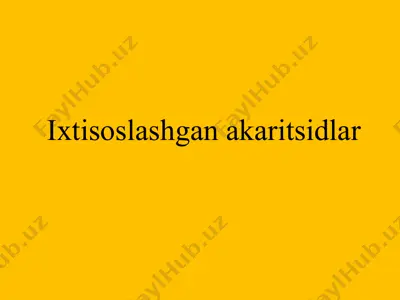 vertimek — PPTX