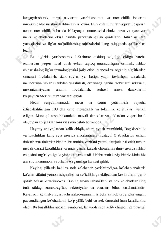 rshi kurash choralarini ilmiy asosda ishlab chiqishni tug`ri yo`lga kuyishni taqazo etadi. ushbu malakaviy bitiriv ishda biz ana shu muammoni atroflicha o`rganishga harakat qildik. keyingi yillarda behi va nok ko`chatlari yetishtiradigan ko`chatxonalarda ko`chat sifatini yomonlashganligi va xo`jaliklarga ekilgandan keyin ularni qurib qolish hollari kuzatilmokda. buning asosiy sababi behi va nok ko`chatldarining turli xildagi zamburug`lar, bakteriyalar va viruslar, bilan kasallanishidir. kasallikni keltirib chiqaruvchi mikroorganizmlar behi va nok urug`idan ungan, payvandlangan ko`chatlarni, ko`p yillik behi va nok daraxtini ham kasallantira oladi. bu kasalliklar asosan, zamburug`lar yordamida kelib chiqadi. zamburug` turlari tuprog`da, havoda, suv havzalarida, o`simlik qoldiqlarida keng tarqalgan, hayot kechirishi jihatidan turlicha bo`lgan o`simliklar guruhidir. zamburug`larning vakillari orasida ma`lum bir turga mansub o`simlikka moslashgan va unga kasallik keltirib chiqarish xususiyatiga ega bo`lgan turlari uchraydi. shuning uchun ular ko`p yillik daraxtlar va ularning ko`chatlari, mevali va poliz ekinlarini, texnik va manzarali o`simliklarni ham kasallantiradi . respublikamiz miqiyosida ekologik sharoitning o`zgarib borishi, behi va …