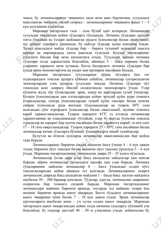 ги шаклланган эмбрион эзилиб сачраса – личинкаларнинг чиқишига фақат 1 – 3 кун қолганини кўрсатади. марокаш чигирткаси гала – гала бўлиб ҳаёт кечиради. личинкалар тухумдан чиққандан кейин тўдаларга тўпланади. личинка тўдалари дастлаб тоғга ўхшайди ва ўзлари жойлашган ердаги ўсимликлар билан овқатланиб, шу ернинг атрофига ўрнашади, бу пайтда тўдалар ҳалқа шаклини олади. ҳалқа шаклидаги майда тўдалар бир – бирига туташиб мураккаб шаклга киради ва пировардида лента шаклида тузилади. бундай ленталарнинг узунлиги баъзан бир неча километрга етади. тухумдан чиққан личинка тўдалари тезда ҳаракатлана бошлайди, айниқса 3 – ёшга кириши билан уларнинг ҳаракати анча кучаяди. катта ёшлардаги личинка тўдалари бир кунда ярим километиргача ва ундан ҳам ортиқроқ масофани босади. марокаш чигирткаси тухумларини қўриқ чўлларга ёки тоғ олдиларидаги тошлоқ ерларга қўйиши сабабли, личинкалар суғориладиган экинзорлардан узоқ ерларда тухумдан чиқади. личинка тўдалари чўл томондан кенг доирага ёйилиб силжиганида экинзорларга ўтади. улар кўпинча жуда зўр тўсиқлардан: ариқ, зовур ва дарёлардан сузиб ўтадилар. кечаси ўсимликларда дам олганларидан …