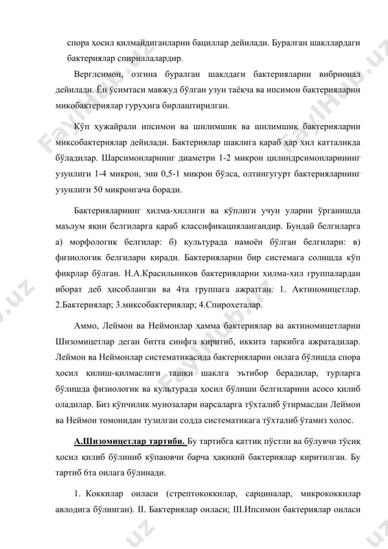 охеталар оиласи. vi. бациллалар оиласи. б. миксобактериялар тартиби. миксобактериялар оиласи ва унга мансуб авлод бу тартибга киритилган. в. актиномицетлар тартиби. 1.актиномицетлар оиласи (2 авлодга ажратилган) ii. микромоноспоралар оиласи; iii.миксобактериялар оиласи (2 авлодга ажратилган). замбуруглар тўгрисида тушунча. тупроқдаги микроорганизмлар вакилларидан яна биттаси замбуруглардир. булар ҳам тупроқдаги турли минерал ва органик моддаларнинг ўзгаришида фаол қатнашадилар. буларга могор замбуруглари, микориза замбуруглари, тушушлар (ачитқилар) кирадилар. шунингдек тупроқдаги содда ҳайвонлар, сув ўтлари ҳам аҳамиятлидирлар. замбуруглар кўпчилиги гиф деб аталувчи шохланган ип шаклида ўсадилар. булар замбуруг мицелийсини (танасини) ҳосил қиладилар. баъзи замбуруглар гифлари қисқа хжайраларга (оидия) бўлиниши ва шу ҳисобига кўпайиши мумкин. ачитқида шундай вазифани куртакланувчи мицелла бажаради. замбуругдарни бир қанча морфологик ва физиологик белгиларига қараб 6 синфга бўлинган. 1. хитридиомицитлар 2. оомицетлар 3. зигомицетлар 4. базидиямицетлар 5. халтачали замбуруглар 6. такомиллашмаган замбуруглар вируслар ҳақида тушунча. вируслар – ультрамикроскопик, фақат ҳужайра ичида кўпайишига мослашган, облигат микроорганизмлар бўлиб ўсимлик, ҳайвон, инсон ҳатто содда ҳайвонлар ва бошқа микроорганизмларда …