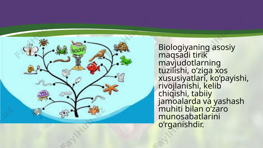 an. dunyo aholisining soni yildan yilga ortib bormoqda. binobarin, biologiya fani oldida turgan muhim vazifalardan biri insonlarning oziq-ovqatga bo‘lgan ehtiyojini qondirishga qaratilgan nazariy va amaliy muammolarni hal etishdan iborat. bu sohada seleksiyada ko‘p yillardan beri qo‘llanib kelinayotgan duragaylash, tanlash metodlaridan tashqari, gen muhandisligi – genlarni sintez qilish, ko‘chirib o‘tkazish, somatik hujayralarni duragaylash, allofen – organizmlar yetishtirish va boshqa metodlardan foydalanish nihoyatda samarali bo‘ladi. insonlardagi irsiy kasalliklarni o‘rganish, ularning oldini olish choralarini ishlab chiqish va amaliyotga tatbiq etish nihoyatda muhim sanaladi. bu muammoni ijobiy hal etish gen muhandisligi va biotexnologiya sohalarining rivoji bilan uzviy bog‘liq. hozirgi vaqtda eng xavfl i hodisalardan biri ekologik muhitning yomonlashayotganligi hisoblanadi. bu ayniqsa, inson uchun nihoyatda foydali bo‘lgan o‘simlik va hayvon turlarining yildan yilga kamayib ketayotganligida yaqqol ko‘zga tashlanadi. biologiya fani oldida turgan muammolardan biri hayvonlar, o‘simliklar genofondini saqlash usullarini ishlab chiqish va amaliyotga tatbiq etishdan iborat. savol va topshiriqlar: zamonaviy biologiya fanining o‘ziga xos xususiyatlarini …
