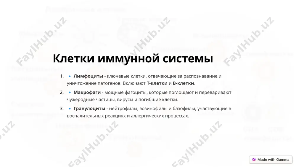 рые распознают и уничтожают инфицированные или раковые клетки. т-киллеры и т-хелперы играют ключевую роль в этом процессе. синергия и баланс гуморальный и клеточный иммунитет тесно взаимосвязаны и дополняют друг друга. для эффективной защиты организма необходим правильный баланс между этими двумя ветвями иммунной системы. 4 развитие и созревание лимфоцитов 1 стволовые клетки развитие лимфоцитов начинается со стволовых клеток в костном мозге. 2 лимфобласты стволовые клетки превращаются в лимфобласты - молодые предшественники лимфоцитов. 3 т-клетки лимфобласты мигрируют в тимус, где созревают в т-клетки. 4 в-клетки другие лимфобласты остаются в костном мозге и созревают в в-клетки. 5 созревание т- и в-клетки далее дифференцируются и активируются, формируя зрелую иммунную систему. развитие и созревание лимфоцитов - ключевой процесс формирования адаптивного иммунитета. из плюрипотентных стволовых клеток в костном мозге и тимусе образуются зрелые т- и в-клетки, готовые к распознаванию антигенов и активации иммунного ответа. 5 иммунная память и вакцинация иммунная память после первичного контакта с патогеном, …