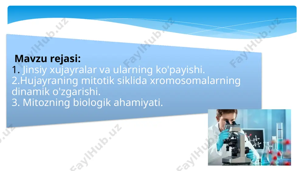 ladi. mitoz sikli o‘rganilganda irsiy moddaning o‘zgarishlari ham o‘rganiladi. mitoz sikli 4 davrga bo‘linadi: 1.mitoz (m), 2. presintez (g1), 3.sintez (s), 4. postsintez (g1) davrlar. bu g1, s, va g2 davrlar interfazani tashkil qiladi. mitoz - murakkab bo‘linish bo‘lib, asosan somatik hujayralarga xosdir. o‘rganishni osonlashtirish uchun mitoz 4 bosqichga bo‘lib o‘rganiladi: 1. profaza, 2. metafaza, 3. anafaza, 4. telofaza mitoz bolinishning birinchi bosqichi profaza ( pro - namoyon, phosis —davr) bo‘lib, bunda xromosoma iplari — xromatinlaming spirallashishi hisobiga xromosomalarni yo‘g‘onlashishi va kattalashishi kuzatiladi. ular juft-juft xromatidalar holatida bo‘lib yorug‘lik mikroskopida ko‘rinadi. xromosomalardagi xromatidalar profazada tarqalmaydi, balki ular sentromera orqali birikkan holda bog’ladi. profazada sentriolalar bolinib bir-biridan itarila boshlaydi. profazaning o‘rtasi yoki oxirida yadro qobig‘i va yadrocha parchalanadi, bo‘linish urchug‘i shakllanadi. natijada juft-juft xromatidalar sitoplazma va karioplazmaning umumiy massasida joylashadi. bu bilan profaza tugallanadi. metafaza (meta - keyin)da. xromatidalar zichlashib, yo‘g‘onlashib, hujayra markazi bo‘ylab to‘planadi. xromatidalar sentromerasi ekvator tekisligida, qolgan qismi …