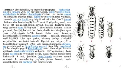 termitlar — PPTX