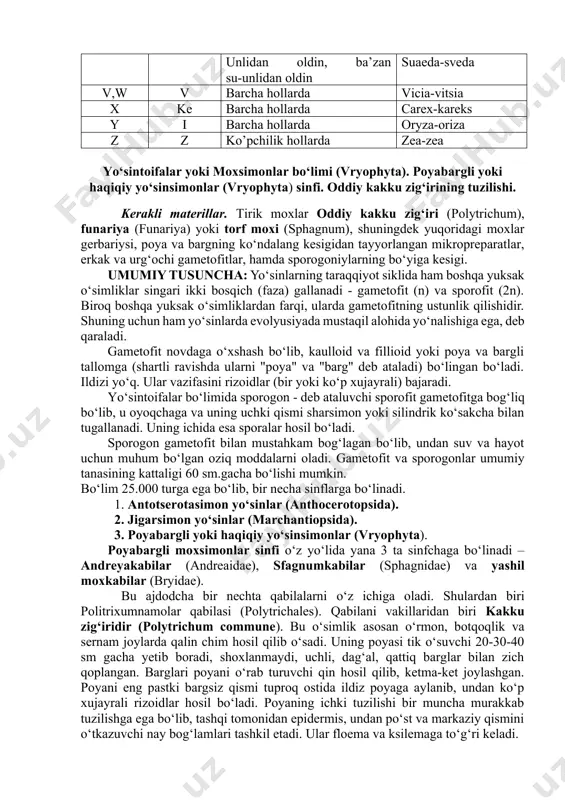 i. yo‘sintoifalar bo‘limida sporogon - deb ataluvchi sporofit gametofitga bog‘liq bo‘lib, u oyoqchaga va uning uchki qismi sharsimon yoki silindrik ko‘sakcha bilan tugallanadi. uning ichida esa sporalar hosil bo‘ladi. sporogon gametofit bilan mustahkam bog‘lagan bo‘lib, undan suv va hayot uchun muhum bo‘lgan oziq moddalarni oladi. gametofit va sporogonlar umumiy tanasining kattaligi 60 sm.gacha bo‘lishi mumkin. bo‘lim 25.000 turga ega bo‘lib, bir necha sinflarga bo‘linadi. 1. antotserotasimon yo‘sinlar (anthocerotopsida). 2. jigarsimon yo‘sinlar (marchantiopsida). 3. poyabargli yoki haqiqiy yo‘sinsimonlar (vryophyta). poyabargli moxsimonlar sinfi o‘z yo‘lida yana 3 ta sinfchaga bo‘linadi – andreyakabilar (andreaidae), sfagnumkabilar (sphagnidae) va yashil moxkabilar (bryidae). bu ajdodcha bir nechta qabilalarni o‘z ichiga oladi. shulardan biri politrixumnamolar qabilasi (polytrichales). qabilani vakillaridan biri kakku zig‘iridir (polytrichum commune). bu o‘simlik asosan o‘rmon, botqoqlik va sernam joylarda qalin chim hosil qilib o‘sadi. uning poyasi tik o‘suvchi 20-30-40 sm gacha yetib boradi, shoxlanmaydi, uchli, dag‘al, qattiq barglar bilan zich qoplangan. barglari poyani o‘rab …
