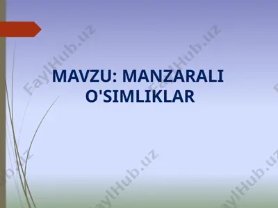 manzarali o'simliklar — PPTX