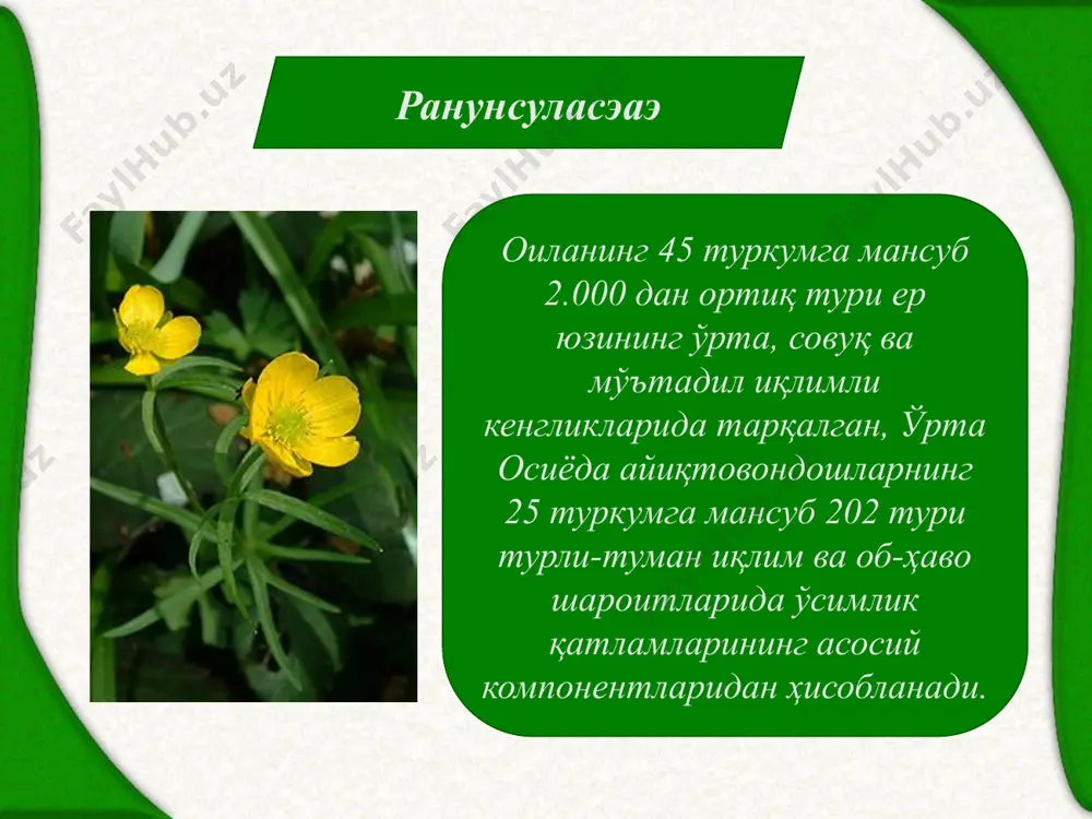 мдан қимматбаҳо ранг берадиган бўёқбоп ўсимлик сифатида билади. парпи (аcонитум) туркумининг 160 тури ер юзининг шимолий ярим шарида, айниқса тоғли вилоятларда тарқалган. ҳамдўстлик мамлакатларида 60 тури, шу жумладан ўрта осиёда унинг 12 тури тоғ зонасининг бутазор, дарахтзор ва арчазорларида, дарахт ва буталарнинг соя-салқин ерлари ҳамда майин ва шағал аралаш тупроқларида ўсади. парпи (аcонитум) туркуми оқ парпи кўп йиллик, илдизпояли ўт. бўйи 60-150см. барглари бармоқсимон қирқилган. гуллари моносимметрик бўлиб, шингил шаклидаги гул тўпламларида жойлашган. бу туркумнинг ҳамдўстлик мамлакатларда тарқалган 11 туридан 9 таси ўрта осиёда учрайди. уларнинг ҳаммиси кўп йиллик ўт ўсимлик. гул формуласи: cа5 cо∞ а∞ г∞. меваси кўп уруғли. ўзбекистонда бу туркумнинг туркистон суғурўти (а. чрйсоcиатус) деб юритиладиган тури зарафшон, олой ва туркистон тизма тоғларининг майин тупроқли ёнбағирларида кенг тарқалган. у баланд бўйли йирик сариқ гулли, ўзига хос бадбўй ҳид тарқатади. медицинада дори-дармон олиш учун ишлатиладиган адонизин шу ўсимликдан олинади. суғурўт (адонис) туркуми кўкнордошлар оиласи — папавераcэаэ оиланинг 28 …