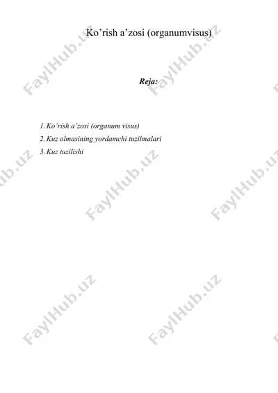 ko’rish a’zosi (organumvisus) — DOCX